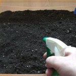 Photo of soil disinfection