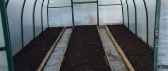 How to properly insulate a greenhouse