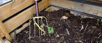 как ускорить созревание компоста