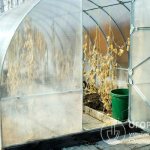 Огородники используют стационарные теплицы и временные пленочные укрытия – парники, чтобы создать благоприятный микроклимат для теплолюбивых растений
