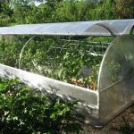 polycarbonate greenhouse with an opening roof.