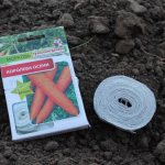 sowing carrots on tape