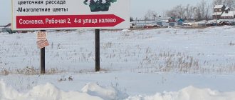Расположены теплицы «Новые технологии» в Омской области в селе Сосновка