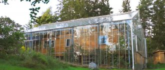 A Swedish family has turned their home into a huge greenhouse, the life in which will be the envy of not only tomatoes