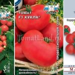 Скороспелые/ранние сорта низкорослых томатов