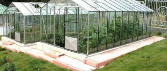 glass greenhouse