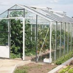 Greenhouse for a summer residence