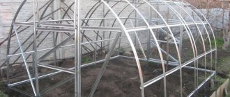 Greenhouse year-round heating system