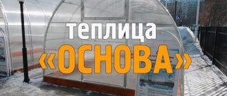 Теплица «Основа»