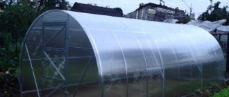 Greenhouses in this series boast durability, which is greatly facilitated by the V-shaped galvanized profile made of high-quality steel