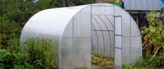 “Greenhouses made of polycarbonate (3x4, 3x6, 3x8)” photo - 1 800x533