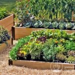 Высокие грядки позволяют создать наиболее благоприятные условия для выращивания овощных, пряно-зеленных и ягодных культур на небольших участках